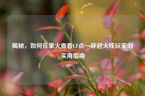 揭秘，如何在掌火查看CF点—穿越火线玩家的实用指南