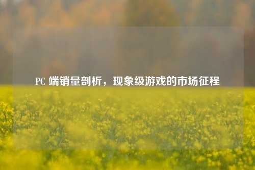 PC 端销量剖析，现象级游戏的市场征程