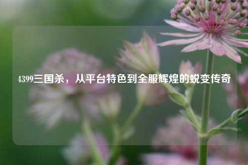 4399三国杀，从平台特色到全服辉煌的蜕变传奇