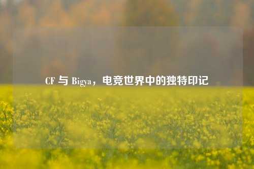 CF 与 Bigya，电竞世界中的独特印记