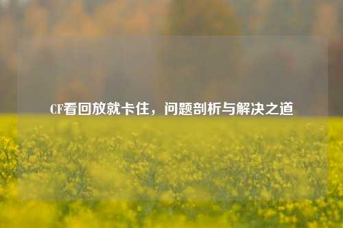 CF看回放就卡住，问题剖析与解决之道