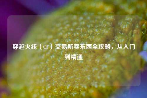 穿越火线（CF）交易所卖东西全攻略，从入门到精通