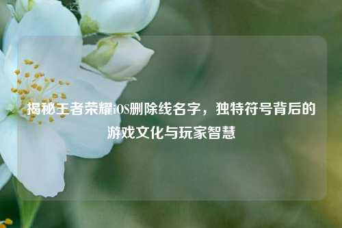 揭秘王者荣耀iOS删除线名字，独特符号背后的游戏文化与玩家智慧