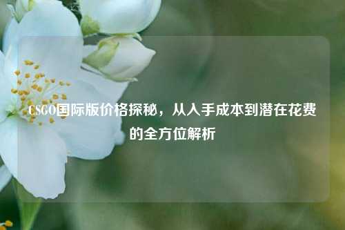 CSGO国际版价格探秘，从入手成本到潜在花费的全方位解析