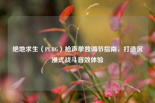 绝地求生（PUBG）枪声单独调节指南，打造沉浸式战斗音效体验