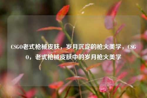CSGO老式枪械皮肤，岁月沉淀的枪火美学，CSGO，老式枪械皮肤中的岁月枪火美学