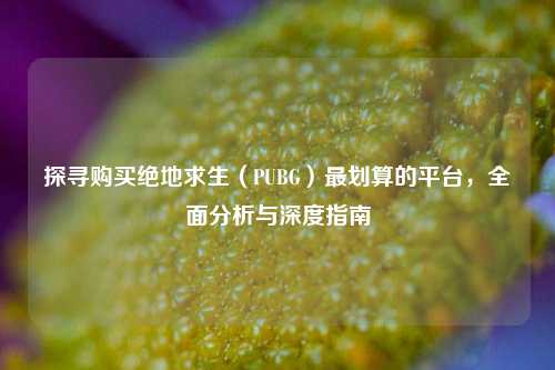 探寻购买绝地求生（PUBG）最划算的平台，全面分析与深度指南