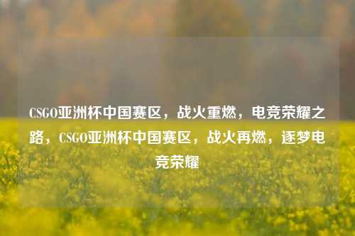 CSGO亚洲杯中国赛区，战火重燃，电竞荣耀之路，CSGO亚洲杯中国赛区，战火再燃，逐梦电竞荣耀