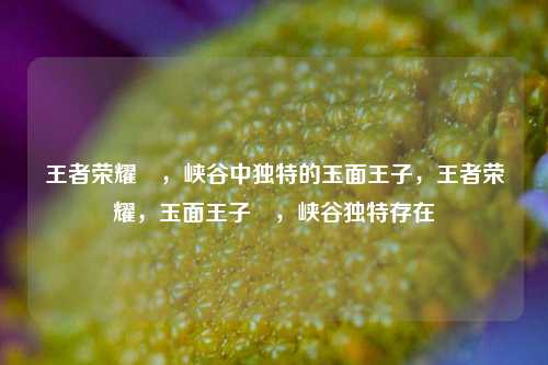 王者荣耀暃，峡谷中独特的玉面王子，王者荣耀，玉面王子暃，峡谷独特存在
