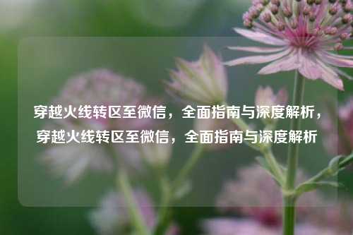 穿越火线转区至微信，全面指南与深度解析，穿越火线转区至微信，全面指南与深度解析