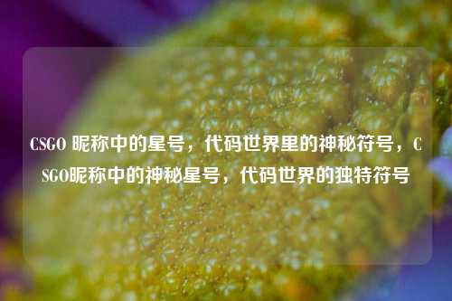 CSGO 昵称中的星号，代码世界里的神秘符号，CSGO昵称中的神秘星号，代码世界的独特符号