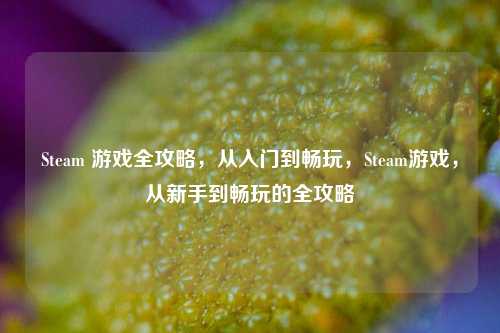 Steam 游戏全攻略，从入门到畅玩，Steam游戏，从新手到畅玩的全攻略