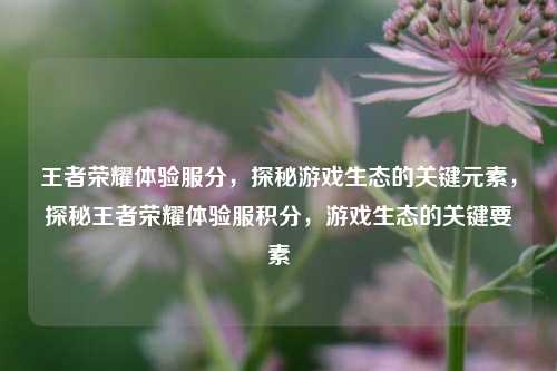 王者荣耀体验服分，探秘游戏生态的关键元素，探秘王者荣耀体验服积分，游戏生态的关键要素
