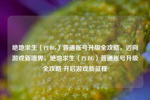 绝地求生（PUBG）普通账号升级全攻略，迈向游戏新境界，绝地求生（PUBG）普通账号升级全攻略 开启游戏新征程