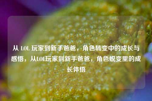 从 LOL 玩家到新手爸爸，角色转变中的成长与感悟，从LOL玩家到新手爸爸，角色蜕变里的成长体悟