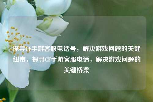 探寻CF手游客服电话号，解决游戏问题的关键纽带，探寻CF手游客服电话，解决游戏问题的关键桥梁