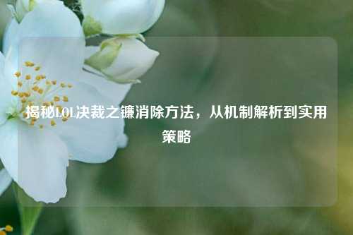 揭秘LOL决裁之镰消除方法，从机制解析到实用策略