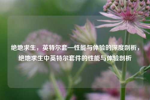 绝地求生，英特尔套—性能与体验的深度剖析，绝地求生中英特尔套件的性能与体验剖析