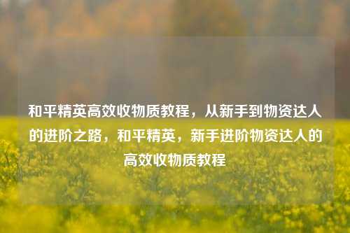 和平精英高效收物质教程，从新手到物资达人的进阶之路，和平精英，新手进阶物资达人的高效收物质教程