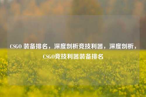 CSGO 装备排名，深度剖析竞技利器，深度剖析，CSGO竞技利器装备排名