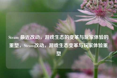Steam 最近改动，游戏生态的变革与玩家体验的重塑，Steam改动，游戏生态变革与玩家体验重塑
