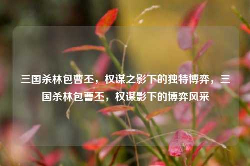 三国杀林包曹丕，权谋之影下的独特博弈，三国杀林包曹丕，权谋影下的博弈风采