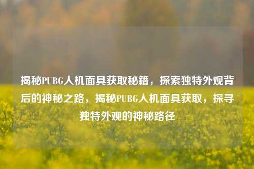 揭秘PUBG人机面具获取秘籍，探索独特外观背后的神秘之路，揭秘PUBG人机面具获取，探寻独特外观的神秘路径