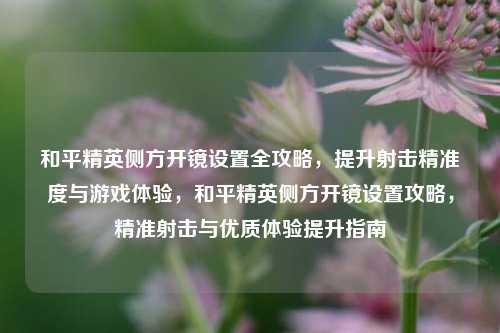 和平精英侧方开镜设置全攻略，提升射击精准度与游戏体验，和平精英侧方开镜设置攻略，精准射击与优质体验提升指南