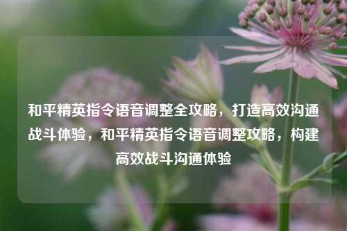 和平精英指令语音调整全攻略，打造高效沟通战斗体验，和平精英指令语音调整攻略，构建高效战斗沟通体验