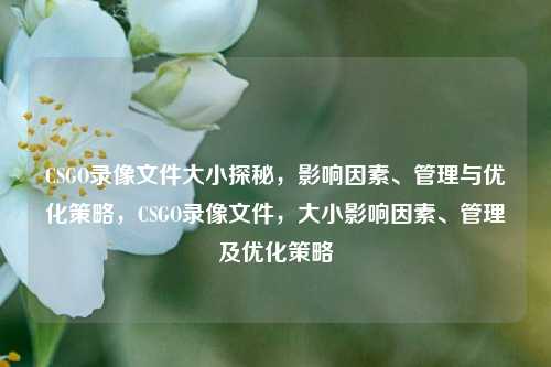 CSGO录像文件大小探秘，影响因素、管理与优化策略，CSGO录像文件，大小影响因素、管理及优化策略