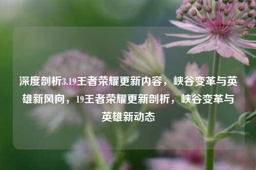 深度剖析3.19王者荣耀更新内容，峡谷变革与英雄新风向，19王者荣耀更新剖析，峡谷变革与英雄新动态