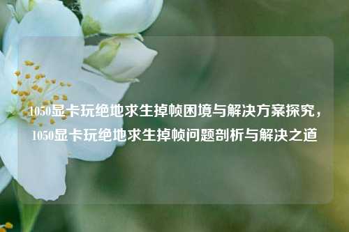 1050显卡玩绝地求生掉帧困境与解决方案探究，1050显卡玩绝地求生掉帧问题剖析与解决之道