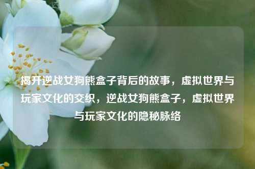 揭开逆战女狗熊盒子背后的故事，虚拟世界与玩家文化的交织，逆战女狗熊盒子，虚拟世界与玩家文化的隐秘脉络