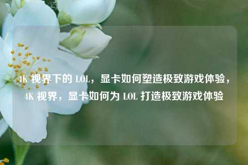 4K 视界下的 LOL，显卡如何塑造极致游戏体验，4K 视界，显卡如何为 LOL 打造极致游戏体验