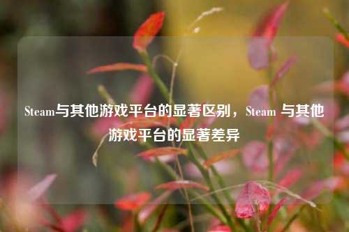 Steam与其他游戏平台的显著区别，Steam 与其他游戏平台的显著差异