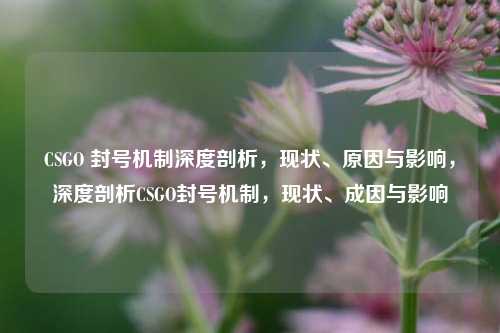 CSGO 封号机制深度剖析，现状、原因与影响，深度剖析CSGO封号机制，现状、成因与影响