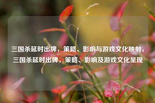 三国杀延时出牌，策略、影响与游戏文化映射，三国杀延时出牌，策略、影响及游戏文化呈现