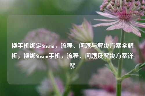 换手机绑定Steam，流程、问题与解决方案全解析，换绑Steam手机，流程、问题及解决方案详解