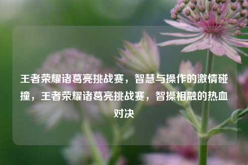 王者荣耀诸葛亮挑战赛，智慧与操作的激情碰撞，王者荣耀诸葛亮挑战赛，智操相融的热血对决