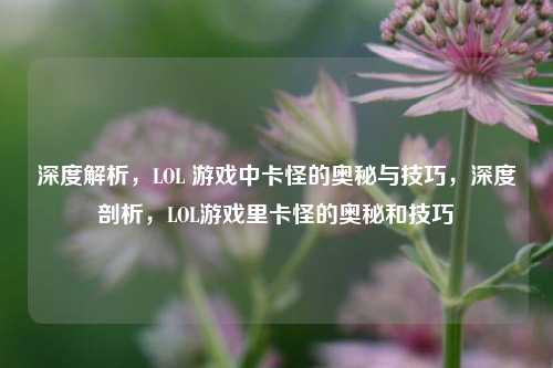深度解析，LOL 游戏中卡怪的奥秘与技巧，深度剖析，LOL游戏里卡怪的奥秘和技巧