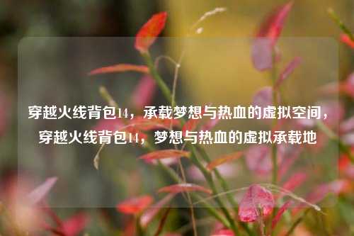 穿越火线背包14，承载梦想与热血的虚拟空间，穿越火线背包14，梦想与热血的虚拟承载地