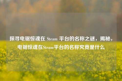 探寻电锯惊魂在 Steam 平台的名称之谜，揭秘，电锯惊魂在Steam平台的名称究竟是什么