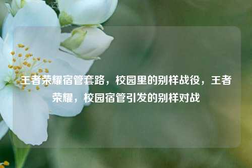 王者荣耀宿管套路，校园里的别样战役，王者荣耀，校园宿管引发的别样对战