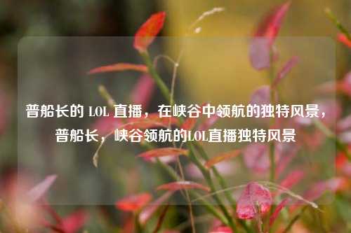 普船长的 LOL 直播，在峡谷中领航的独特风景，普船长，峡谷领航的LOL直播独特风景