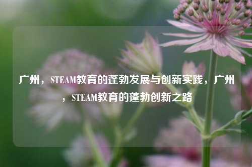 广州，STEAM教育的蓬勃发展与创新实践，广州，STEAM教育的蓬勃创新之路