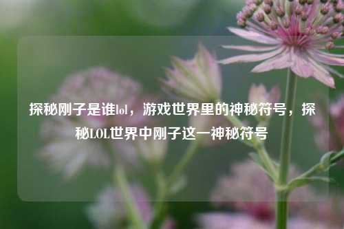 探秘刚子是谁lol，游戏世界里的神秘符号，探秘LOL世界中刚子这一神秘符号