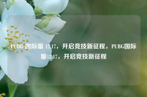 PUBG 国际服 12.17，开启竞技新征程，PUBG国际服12.17，开启竞技新征程