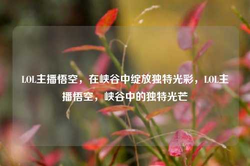 LOL主播悟空，在峡谷中绽放独特光彩，LOL主播悟空，峡谷中的独特光芒