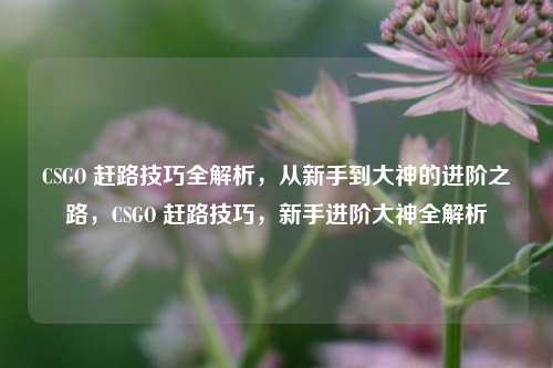 CSGO 赶路技巧全解析，从新手到大神的进阶之路，CSGO 赶路技巧，新手进阶大神全解析