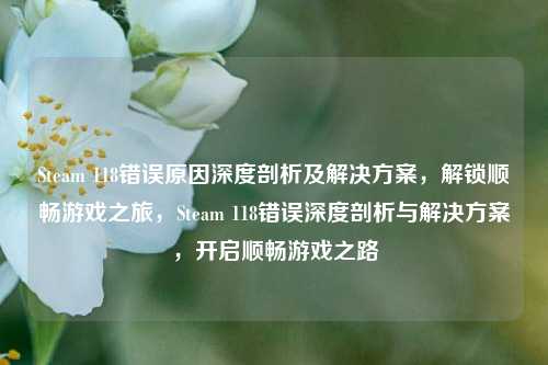 Steam 118错误原因深度剖析及解决方案，解锁顺畅游戏之旅，Steam 118错误深度剖析与解决方案，开启顺畅游戏之路